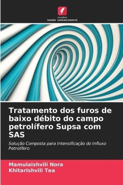 Tratamento dos furos de baixo débito do campo petrolífero Supsa com SAS - Nora, Mamulaishvili;Tea, Khitarishvili