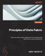 Principles of Data Fabric (eBook, ePUB) - Bild 1