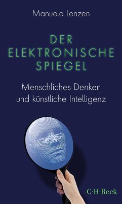 Der elektronische Spiegel (eBook, PDF) - Lenzen, Manuela