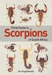 Field Guide to Scorpions of South... - Bild 1