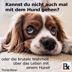 Kannst du nicht auch mal mit dem Hund gehen? (MP3-Download) - Meinen, Thomas