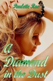 A Diamond in the Dust (eBook, ePUB) A Diamond in the Dust (eBook, ePUB)