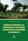 Dinâmicas territoriais e as quebradeiras de coco babaçu no Município de São Domingos do Araguaia-PA (eBook, ePUB)