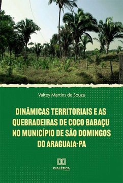 Dinâmicas territoriais e as quebradeiras de coco babaçu no Município de São Domingos do Araguaia-PA (eBook, ePUB) - Souza, Valtey Martins de