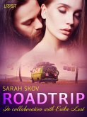 Roadtrip - eroottinen novelli (eBook, ePUB)