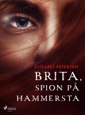 Brita, spion på Hammersta (eBook, ePUB)