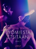 Työmiestä etsitään Osa 2 - eroottinen novelli (eBook, ePUB)