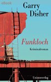 Funkloch (eBook, ePUB)