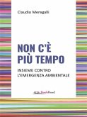 Non c'è più tempo (eBook, ePUB)