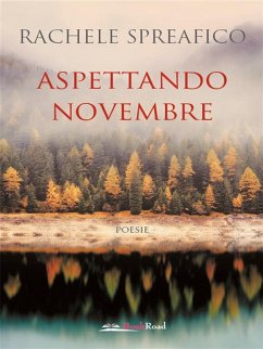 Cover Aspettando novembre (eBook, ePUB)
