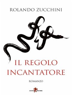 Il regolo incantatore (eBook, ePUB) - Zucchini, Rolando