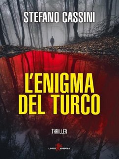 Cover L'enigma del turco (eBook, ePUB)