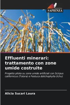 Effluenti minerari: trattamento con zone umide costruite - Sucari Laura, Alicia