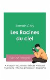 Réussir son Bac de français 2023: Analyse du roman Les Racines du ciel de Romain Gary