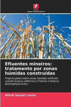 Efluentes mineiros: tratamento por zonas húmidas construídas - Sucari Laura, Alicia