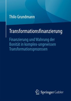 Transformationsfinanzierung - Grundmann, Thilo