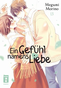 Ein Gefühl namens Liebe 13 - Morino, Megumi