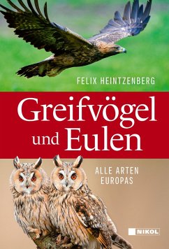 Greifvögel und Eulen - Heintzenberg, Felix