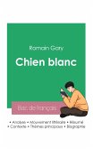 Réussir son Bac de français 2023: Analyse du roman Chien blanc de Romain Gary
