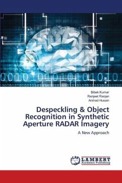 Despeckling & Object Recognition in Synthetic Aperture RADAR Imagery - Kumar, Bibek;Ranjan, Ranjeet;Husain, Arshad