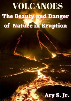 VOLCANOES The Beauty and Danger of Nature in Eruption (eBook, ePUB) - S., Ary