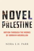 Novel Palestine (eBook, ePUB)