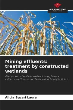 Mining effluents: treatment by constructed wetlands - Sucari Laura, Alicia