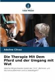 Die Therapie Mit Dem Pferd und der Umgang mit Wut
