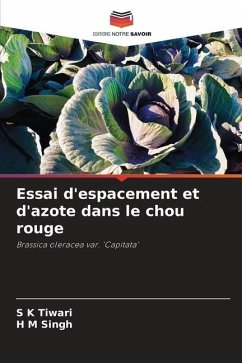 Essai d'espacement et d'azote dans le chou rouge - Tiwari, S K;Singh, H M