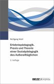 Erlebnispädagogik. Praxis und Theorie einer Sozialpädagogik des Außeralltäglichen (eBook, PDF)