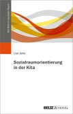 Sozialraumorientierung in der Kita (eBook, PDF)