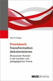 Praxisbuch Transformation dekolonisieren (eBook, PDF)