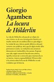 La locura de Hölderlin (eBook, ePUB)