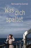 Was dich spaltet (eBook, ePUB)