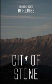 City of Stone (eBook, ePUB)