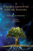 A Unique Encounter With Mr. Maezawa (eBook, ePUB)