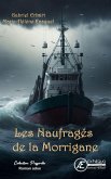 Les naufragés de la Morrigane (eBook, ePUB)