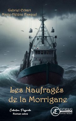 Les naufragés de la Morrigane (eBook, ePUB) Cover Les naufragés de la Morrigane (eBook, ePUB)