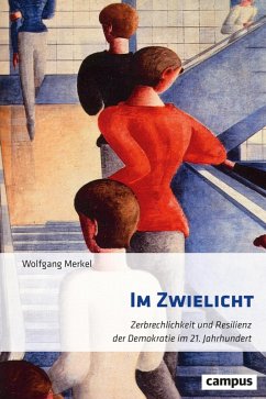 Im Zwielicht (eBook, ePUB) - Merkel, Wolfgang