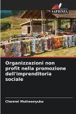Organizzazioni non profit nella promozione dell'imprenditoria sociale