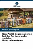 Non-Profit-Organisationen bei der Förderung des sozialen Unternehmertums
