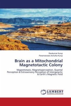 Brain as a Mitochondrial Magnetotactic Colony