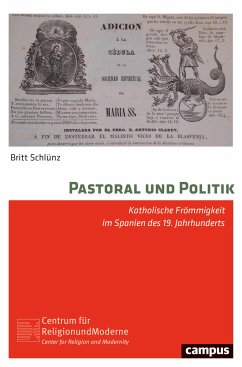 Pastoral und Politik (eBook, PDF) - Schlünz, Britt