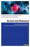 Bilder der Pandemie (eBook, PDF)