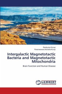 Intergalactic Magnetotactic Bacteria and Magnetotactic Mitochondria