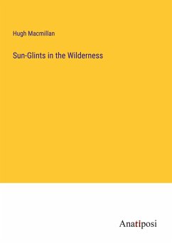 Sun-Glints in the Wilderness - Macmillan, Hugh