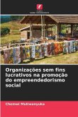 Organizações sem fins lucrativos na promoção do empreendedorismo social