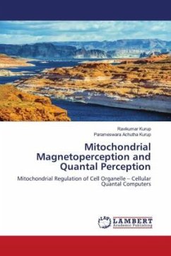 Mitochondrial Magnetoperception and Quantal Perception