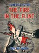 The Fire in the Flint (eBook, ePUB) - Bild 1