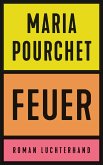 Feuer (eBook, ePUB)